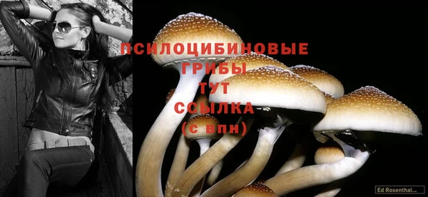 ешки Белокуриха