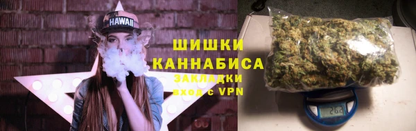 ешки Белокуриха
