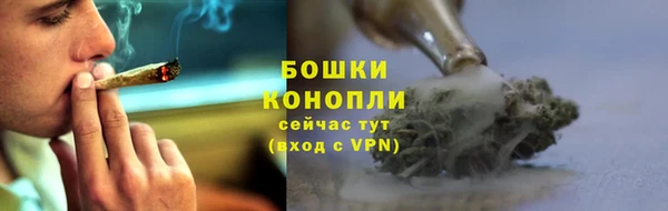 ешки Белокуриха