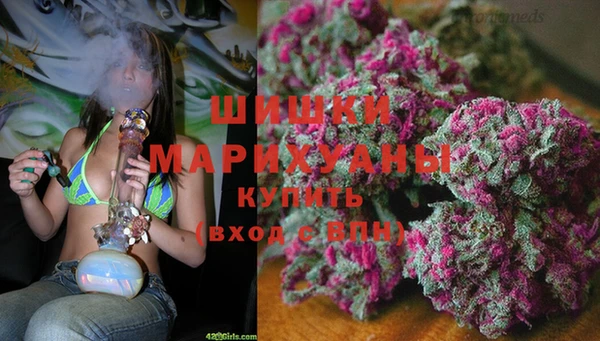 ешки Белокуриха