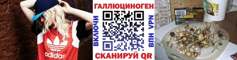 kraken как войти  где найти   Макаров  Псилоцибиновые грибы Magic Shrooms 